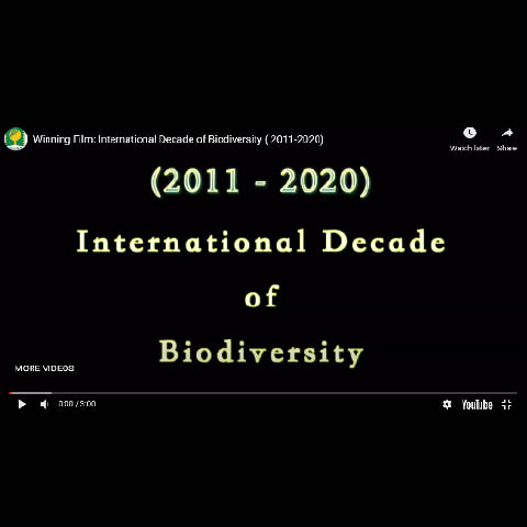 International Decade of Biodiversity (2011-2020)